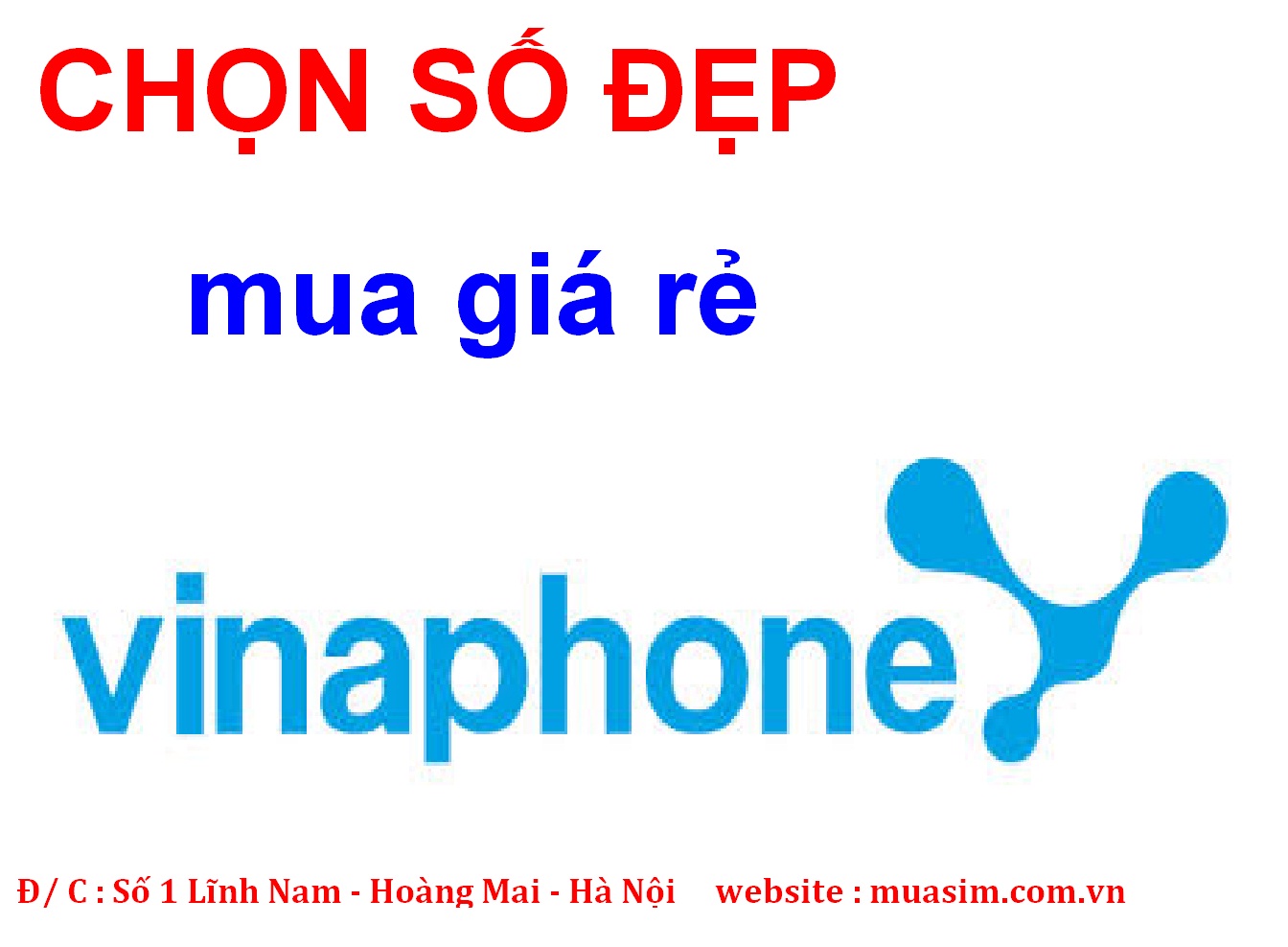 chon so vinaphone