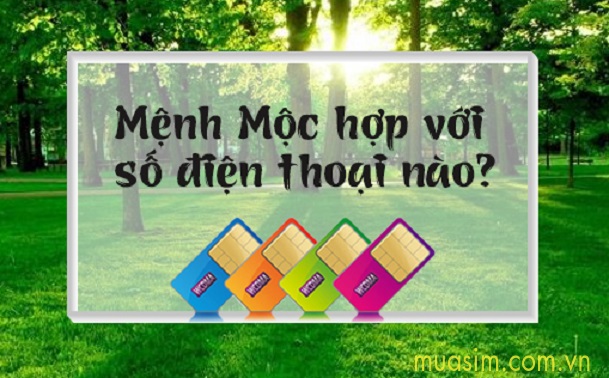 con so hop menh moc