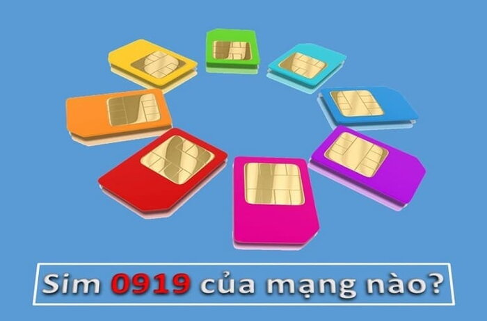 Đầu Số 0919 Là Mạng Gì? Khám Phá Ý Nghĩa Và Lợi Ích Khi Sử Dụng