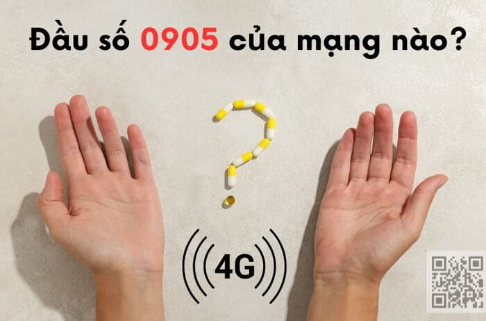 0905 của mạng nào? Tìm hiểu ý nghĩa và lý do bạn nên dùng sim đầu số cổ 0905