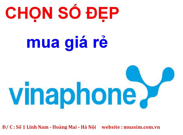 chon so vinaphone