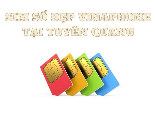 sim so dep Vinaphone Tuyen Quang