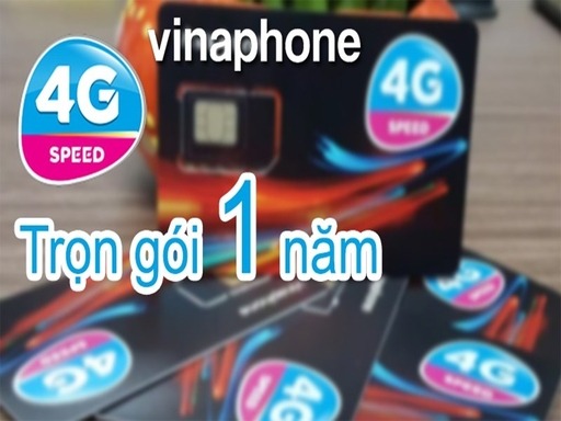 sim 4G Vinaphone 1 nam