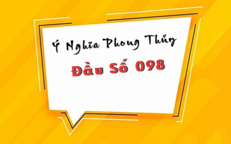 y nghia dau so 098