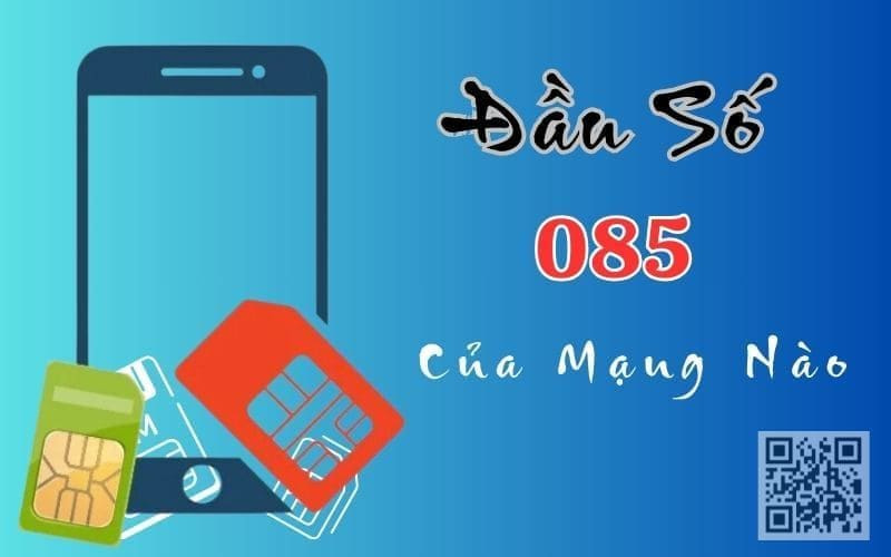 dau so 085