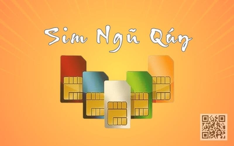 sim ngu quy