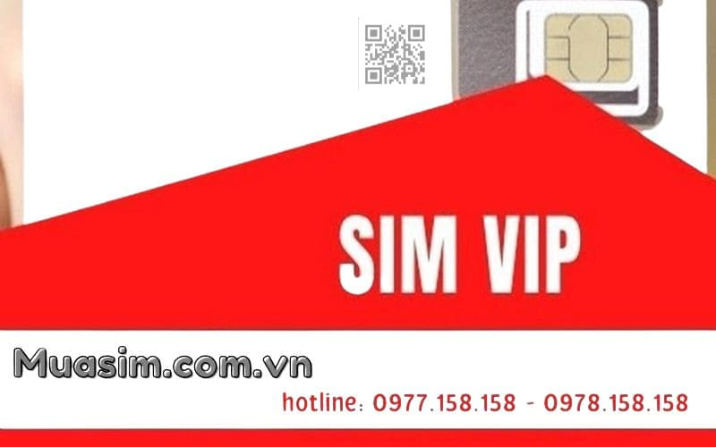 sim vip