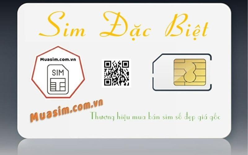 sim dac biet