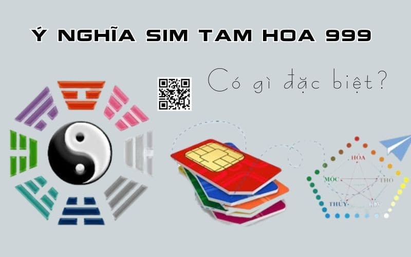 y nghia sim tam hoa9