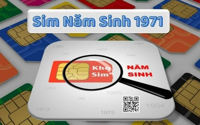 sim nam sinh 1971