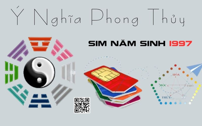 y nghia sim nam sinh 1997