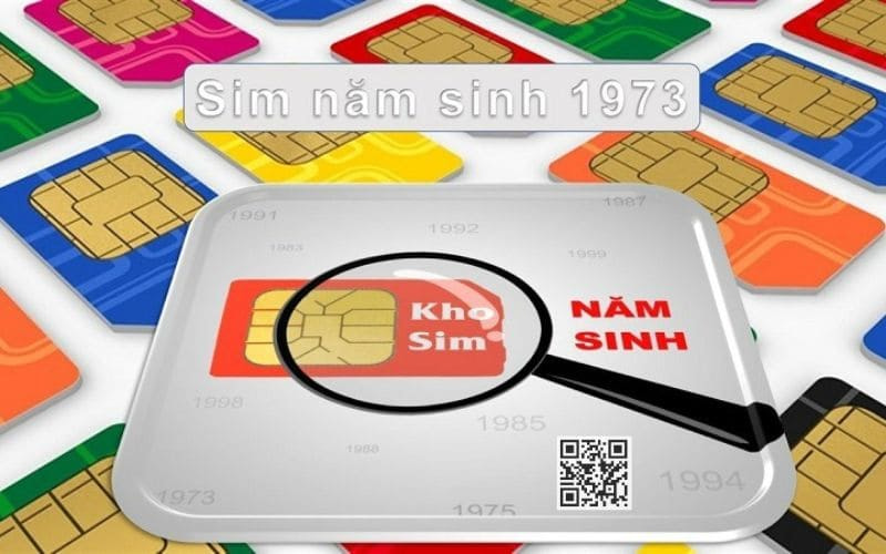 sim nam sinh 1973