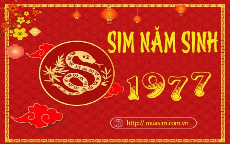 sim nam sinh 1977