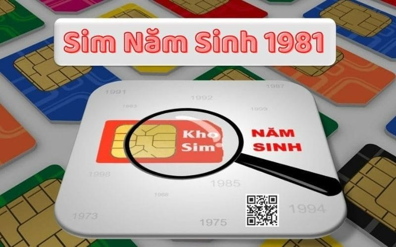 sim nam sinh 1981