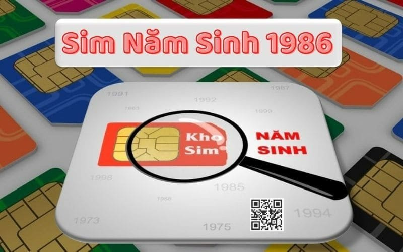 sim nam sinh