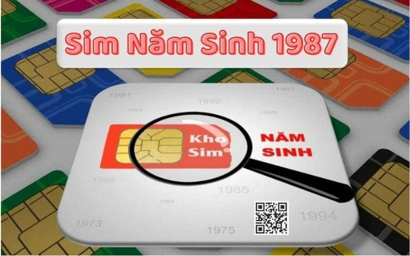 sim nam sinh 1987