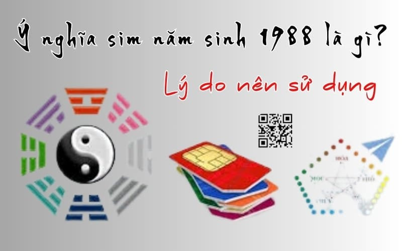 y nghia sim 1988