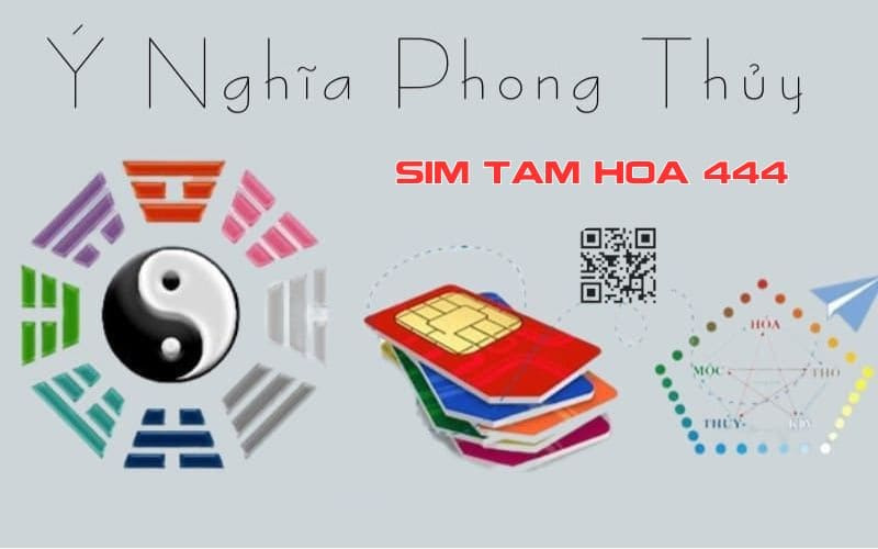 y nghia sim tam hoa 444