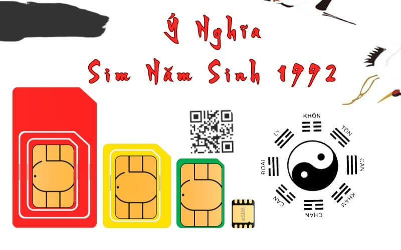 sim nam sinh 1992