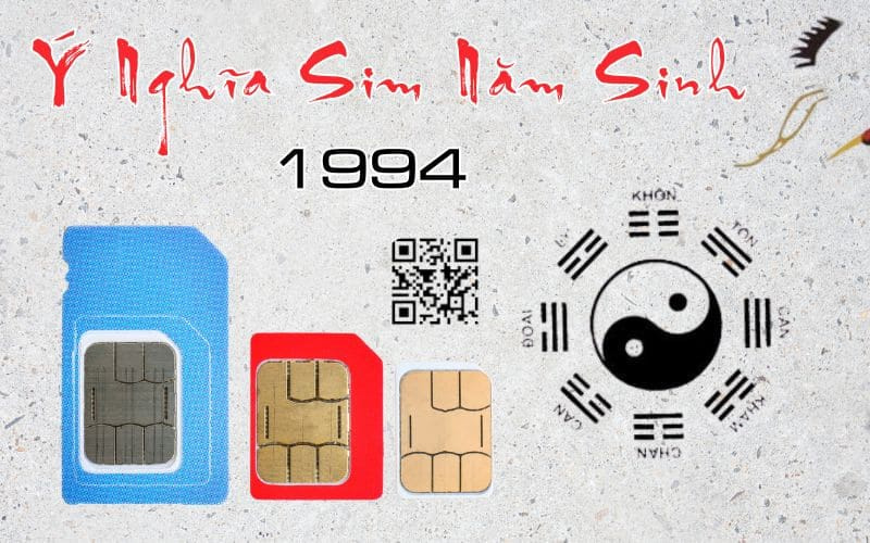 y nghia sim nam sinh 1994