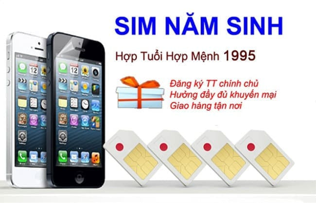 sim nam sinh 1995