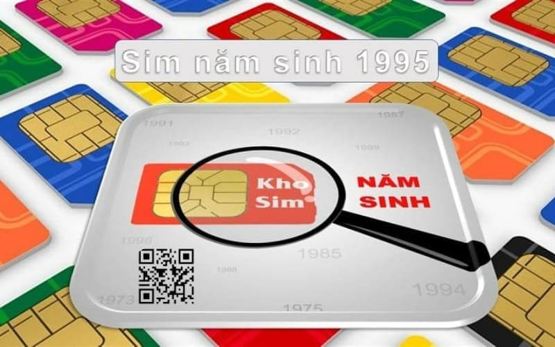 sim nam sinh 1995