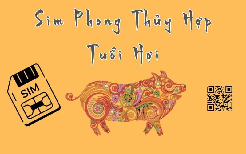 sim phong thuy thuy hop tuoi Hoi