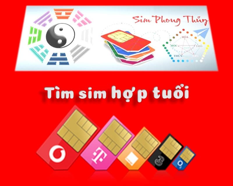 sim phongn thuy