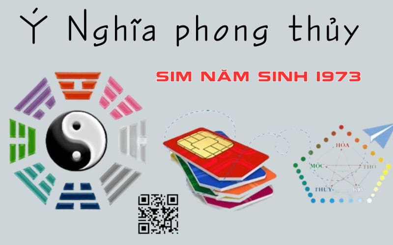 y nghia sim nam sinh 1973