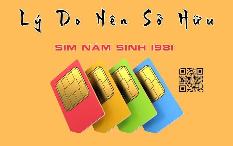 sim nam sinh 1981