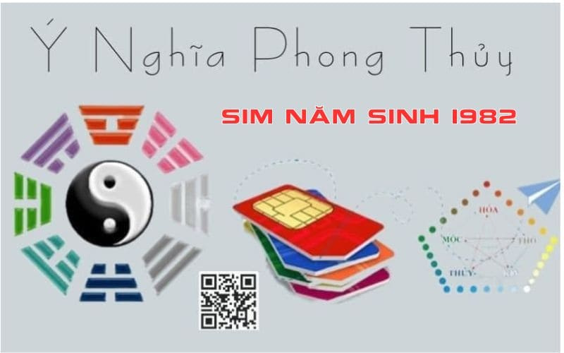 y nghia sim nam sinh 1982