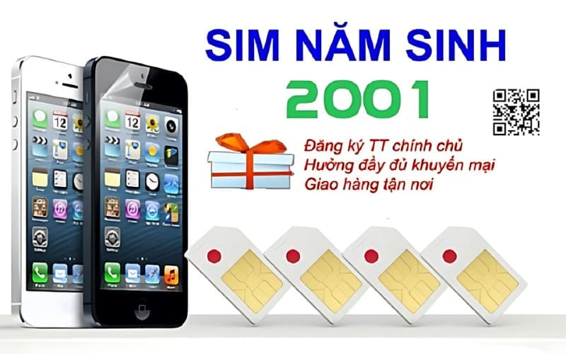 Sim nam sinh 2001