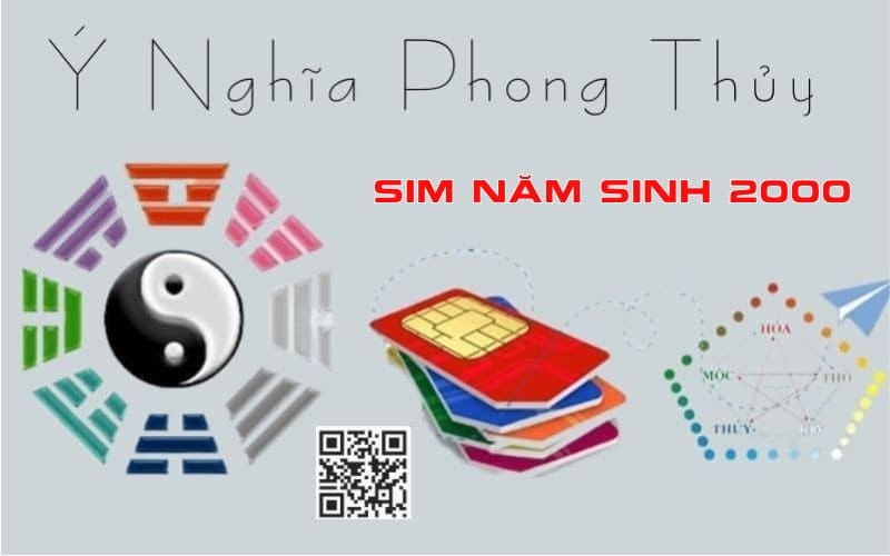 y nghia sim nam sinh 2000