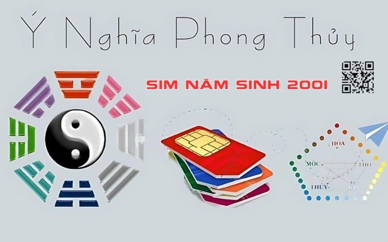 y nghia sim nam sinh 2001