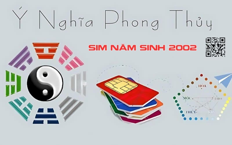 sim nam sinh 2002