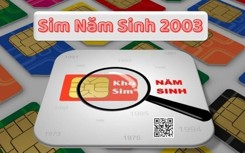 sim nam sinh 2003