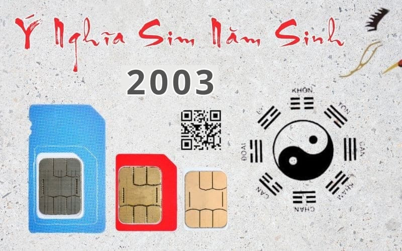 y nghia sim nam sinh 2003