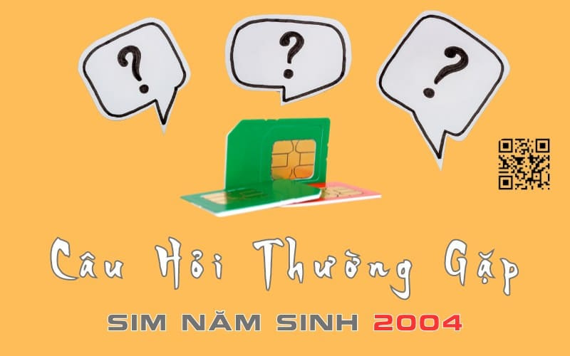 sim nam sinh 2004