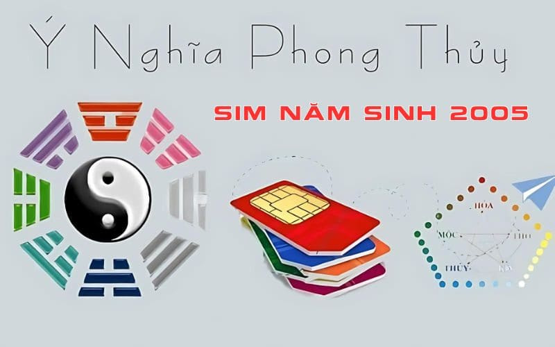 sim nam sinh 2005