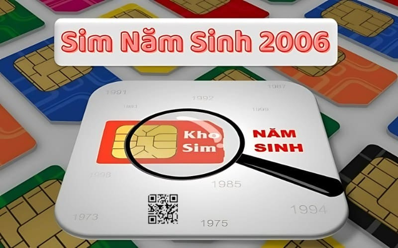 sim nam sinh 2006