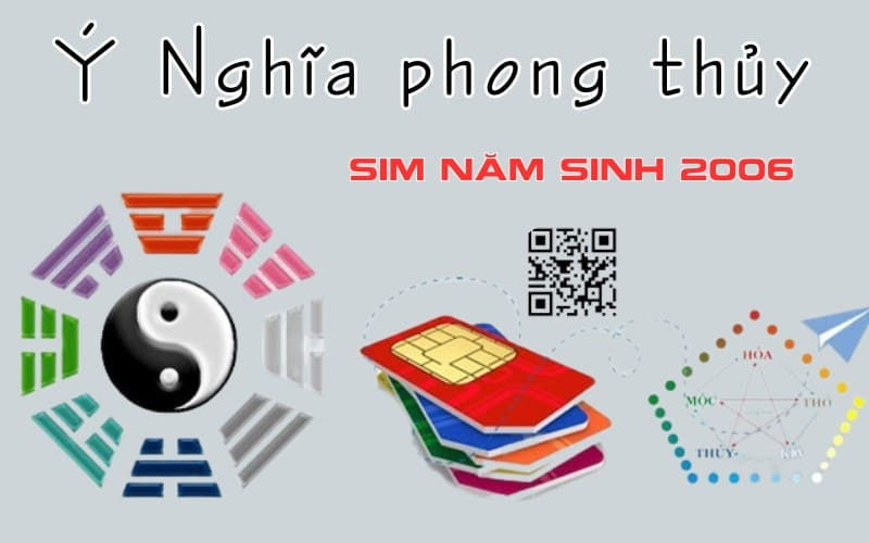 y nghia sim nam sinh 2006