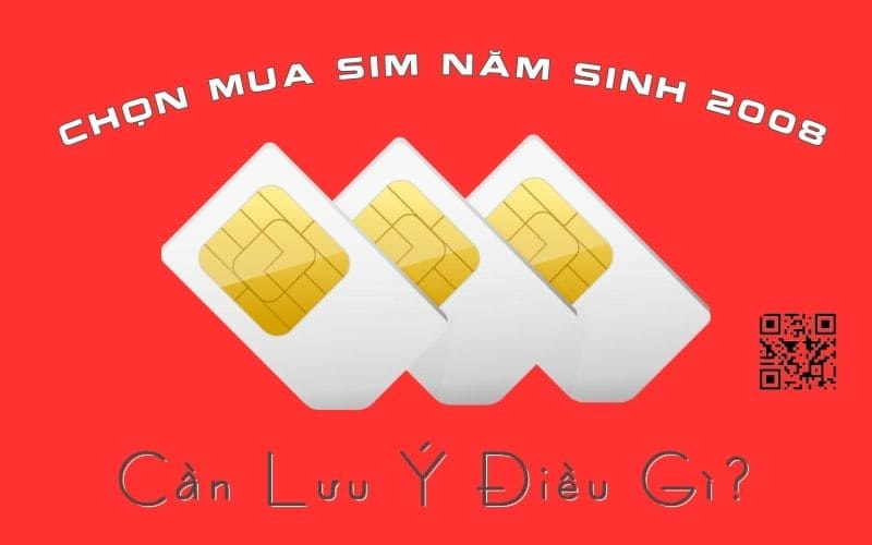 sim nam sinh 2008