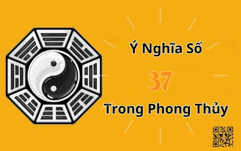 y nghia so 37